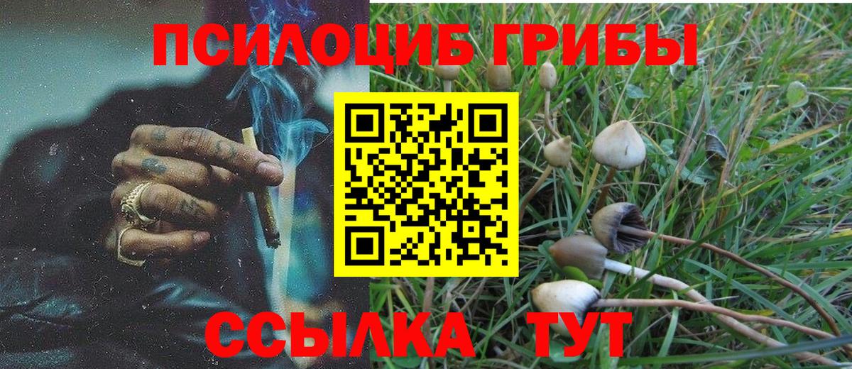 Углич  где продают   Вход с VPN  Псилоцибиновые грибы ЛСД 